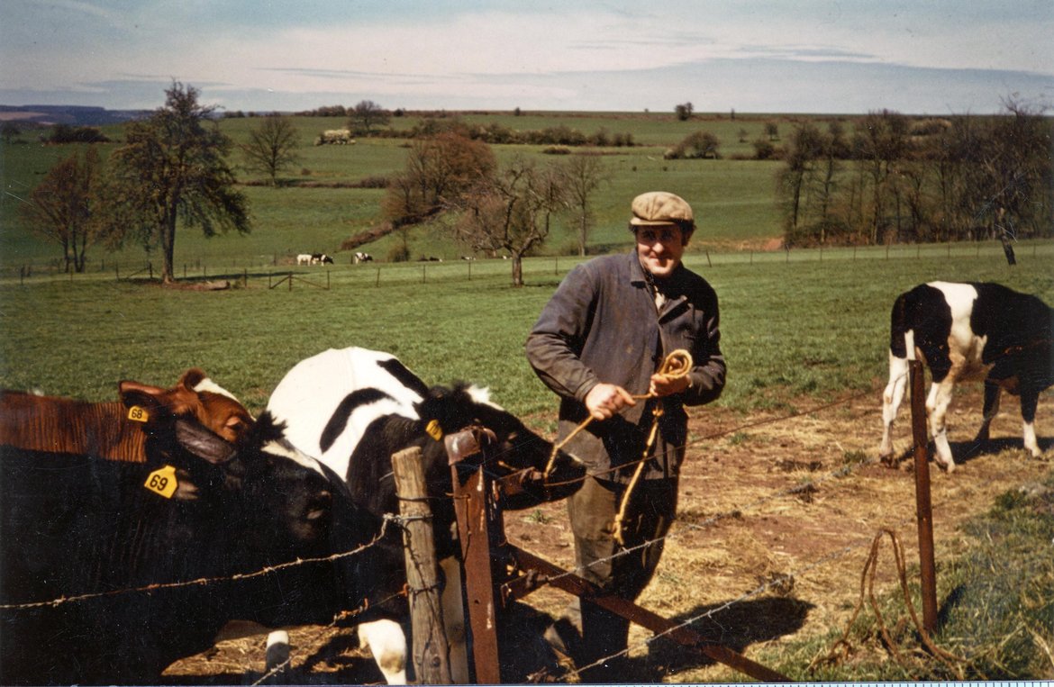 DAP0482