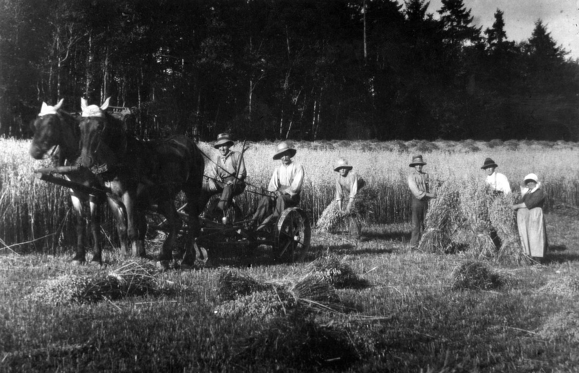 DAP0924