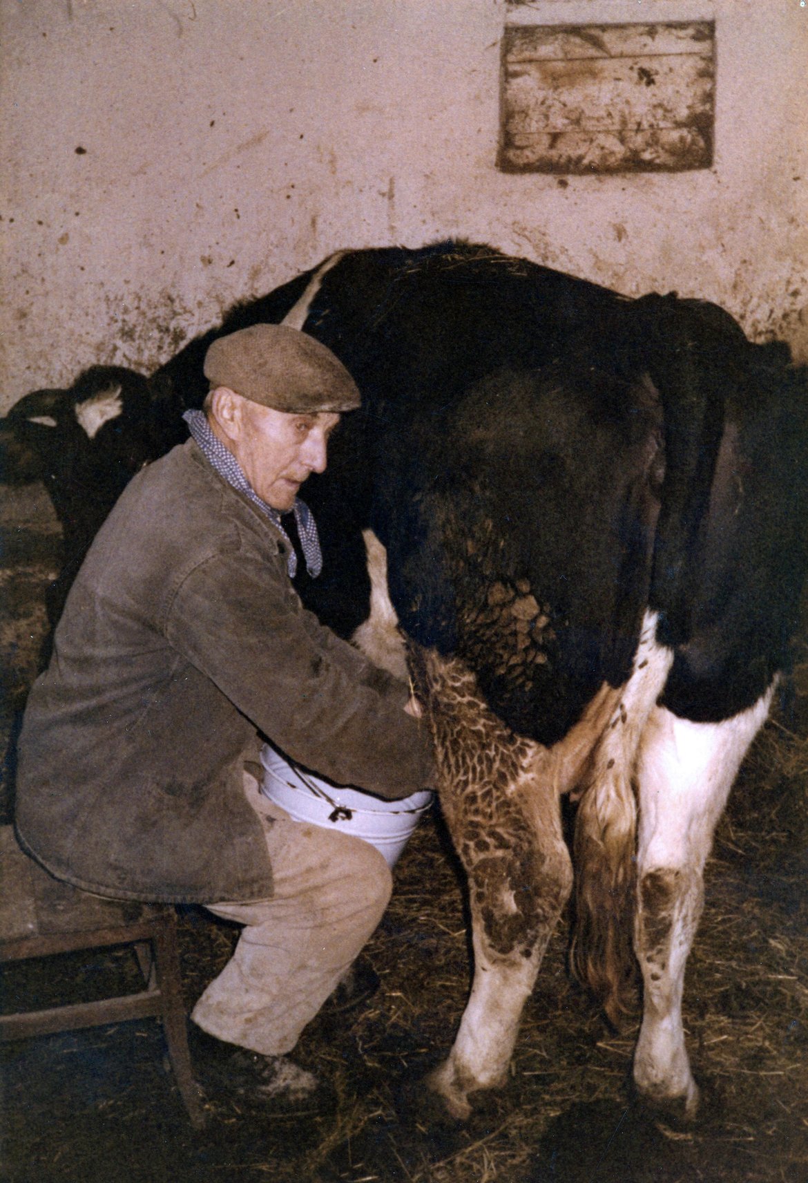 DAP0952