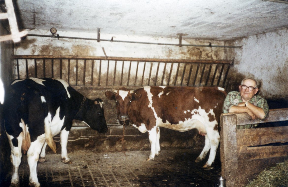 DAP0972