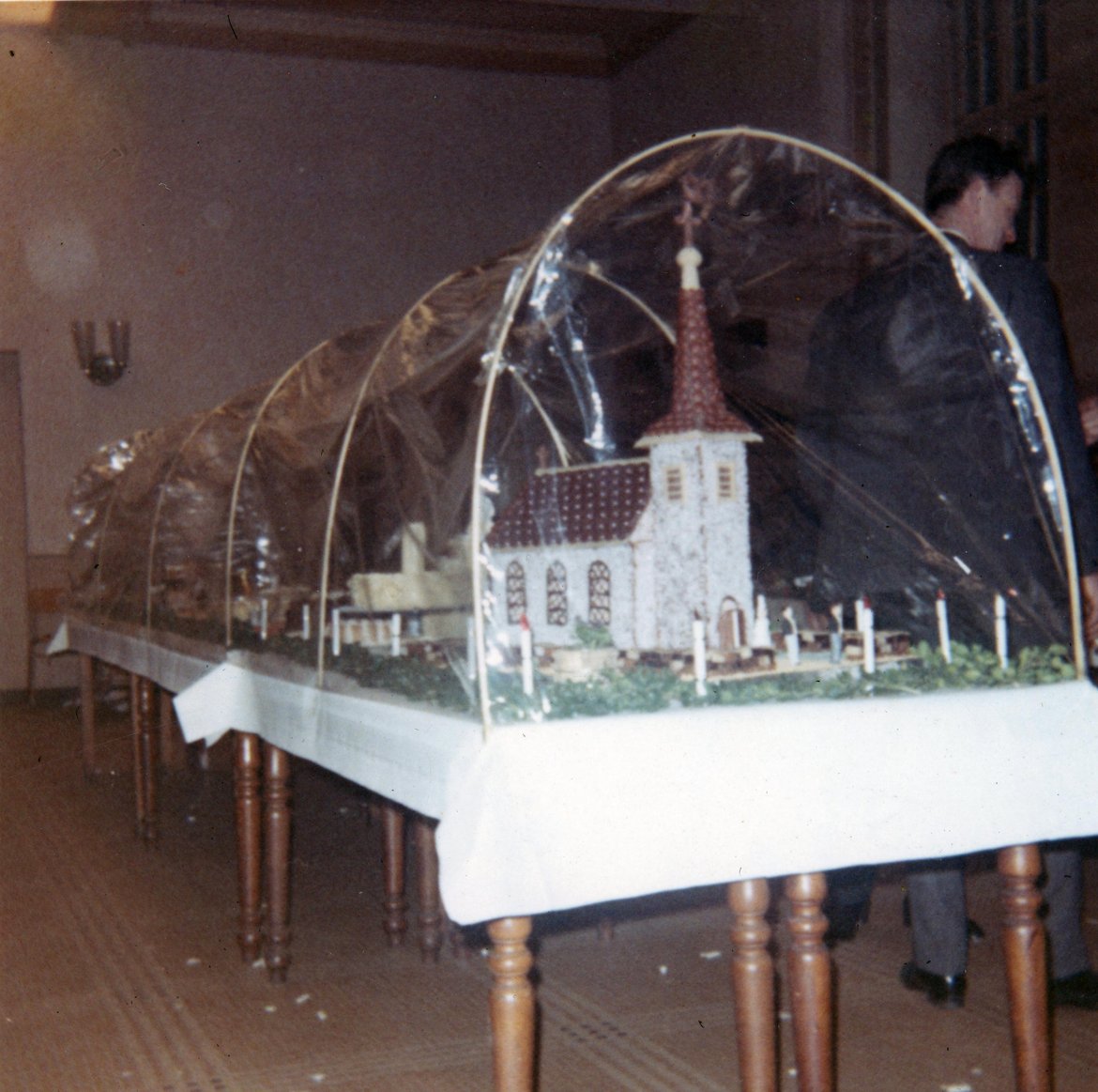 DAP1986