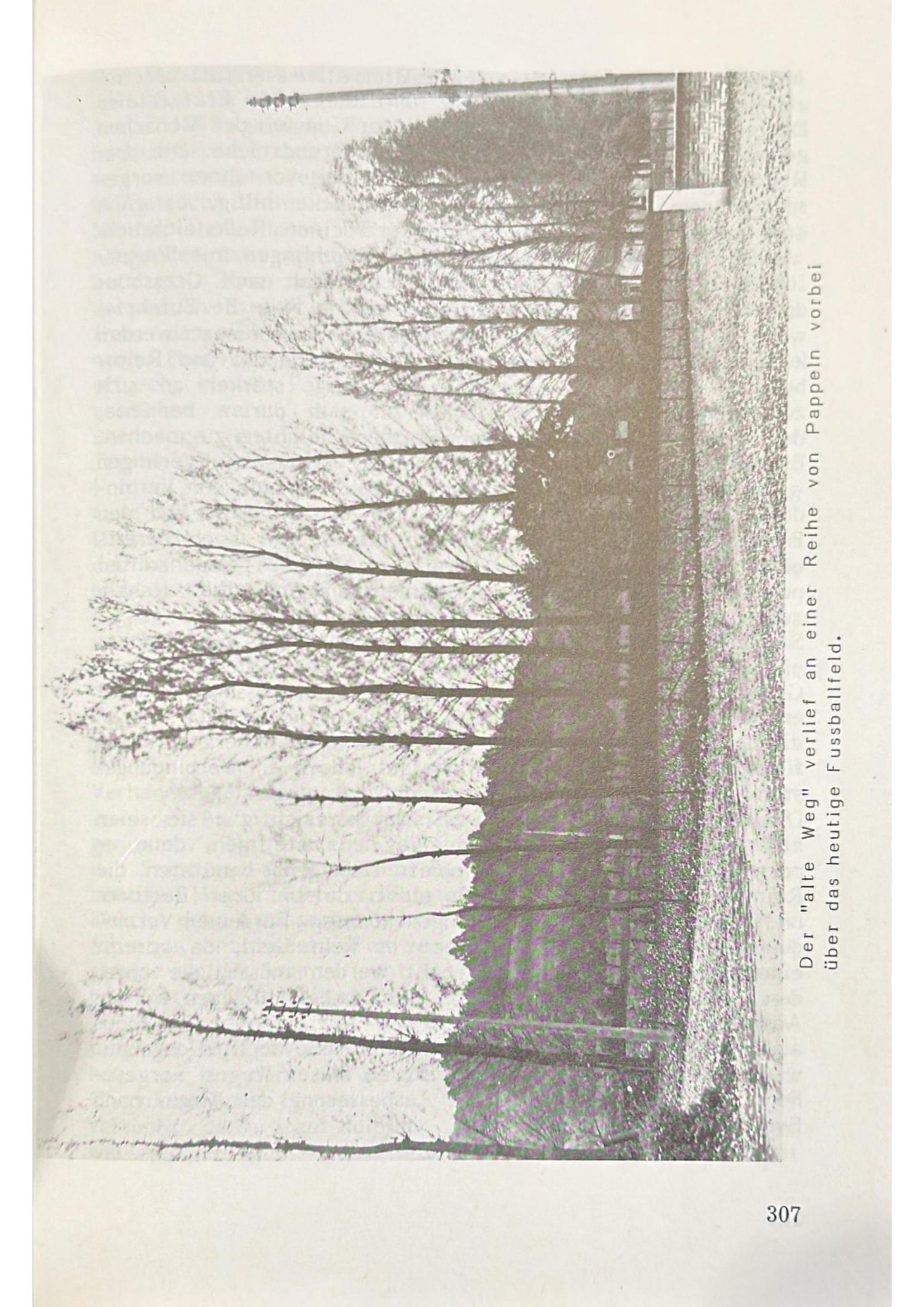 Page 318