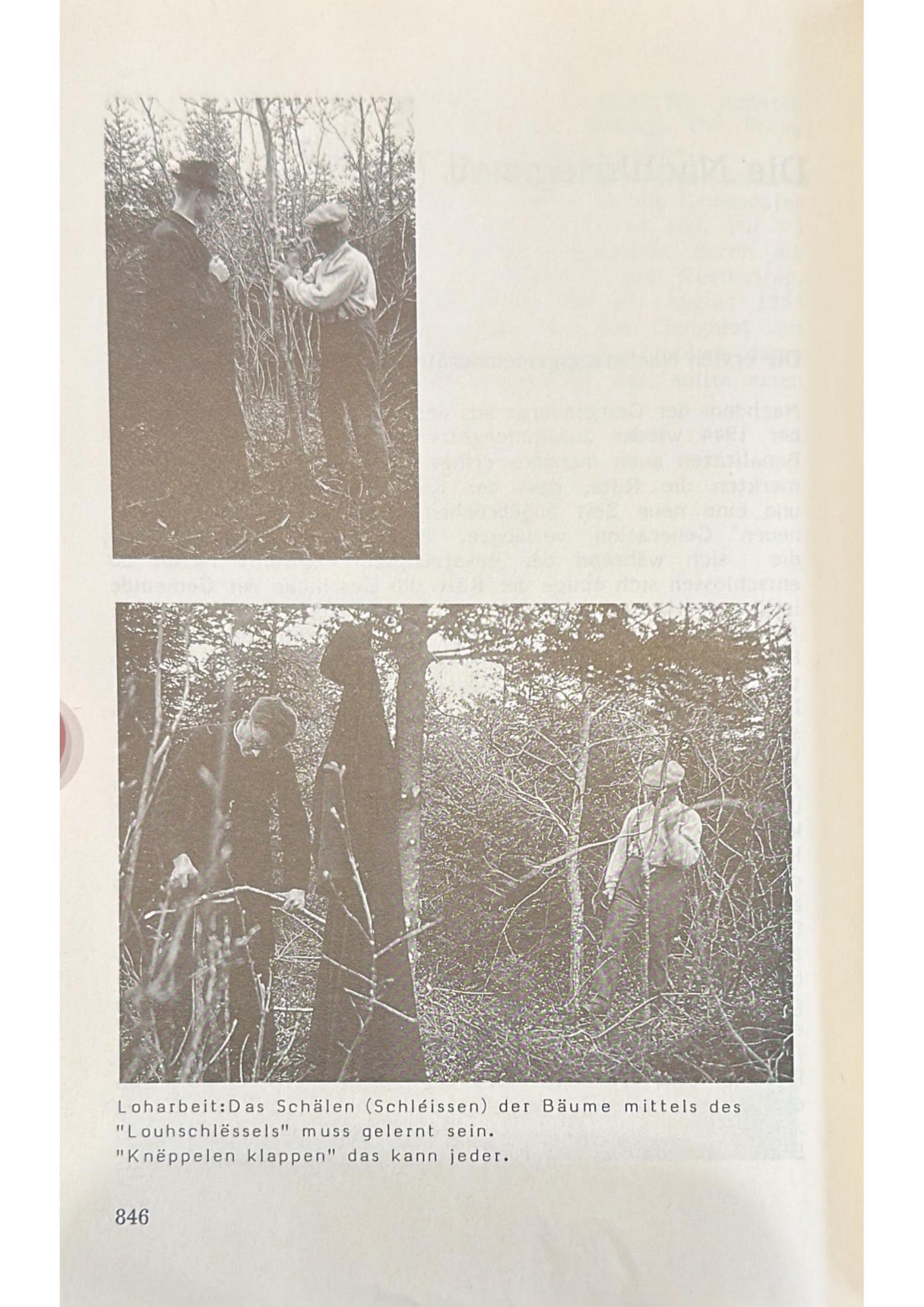 Page 855